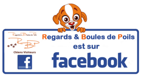annuaire chien, logo Regards et boules de poils
