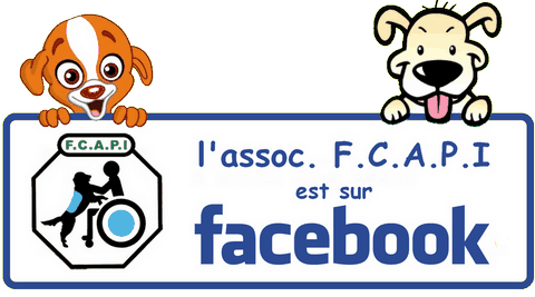  L’association FCAPI sur facebook