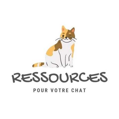 guide pour chat