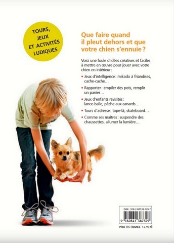 Jouer avec son chien dans la maison Jouer avec son chien dans la maison