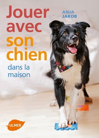 Jouer avec son chien dans la maison livre jouer avec son chien dans la maison