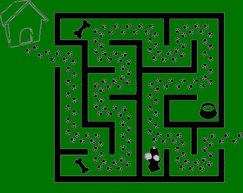 labyrinthe chien visiteur