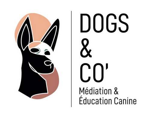 Dogs & Co'  médiation animale