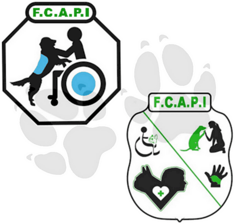 logo de L’association FCAPI