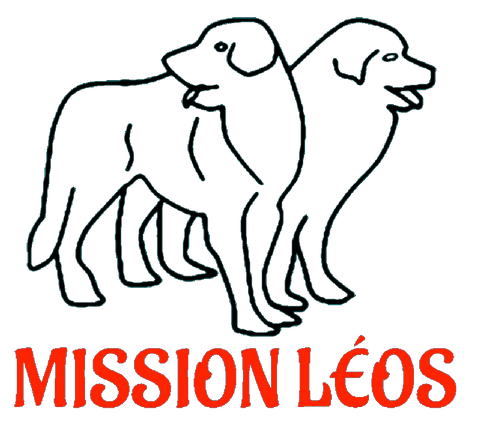 association mission Léo