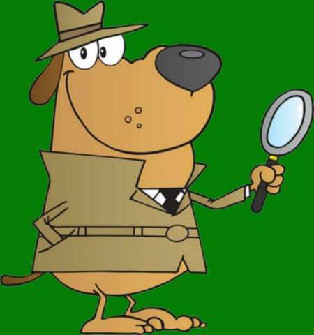 detective qui recherche une race de chien