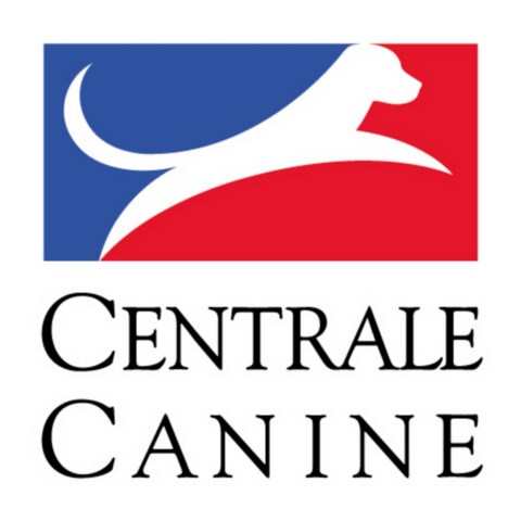 chien visiteur - Société Centrale Canine