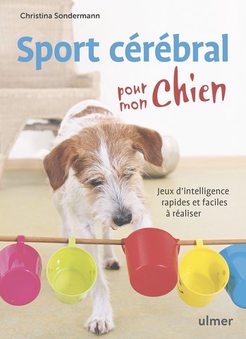 sport cérébral pour mon chien sport cérébral pour mon chien