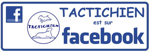 Page facebook TACTICHIEN