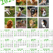calendrier chien visiteur 2026