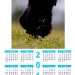 calendrier chien visiteur 2013