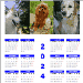 calendrier chien visiteur 2024