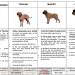 Visuel en forme de tableau : Les American Staffordshire terrier, Tosa inu, Mastiff, Rottweiler sont-ils des chiens de 1ère catégorie ou de 2ème catégorie ?