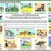 Affiche de prévention aux morsures, chiens et enfants, évitez le pire, les mauvais gestes et les bons gestes. C’est aux parents qu’incombe la responsabilité