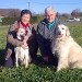 chien visiteur, Christiane et Dolly / Claudine et Belle