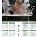 calendrier chien visiteur 2014
