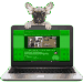 chien visiteur avec un ordinateur