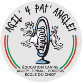 annuaire chien, logo association Agil'4'Pat