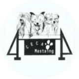 annuaire chien, logo Club d'éducation canine et d'agility de Mastaing