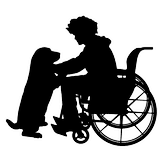 chien avec une personne en fauteuil roulant