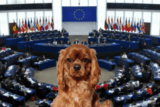 un chien au parlement européen
