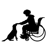 chien visiteur et handicapée en fauteuil