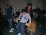 chien visiteur, entraînement fauteuil