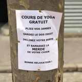 affiche sur un arbre cours de yoga gratuit