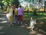 Le chien visiteur, Promenade en famille